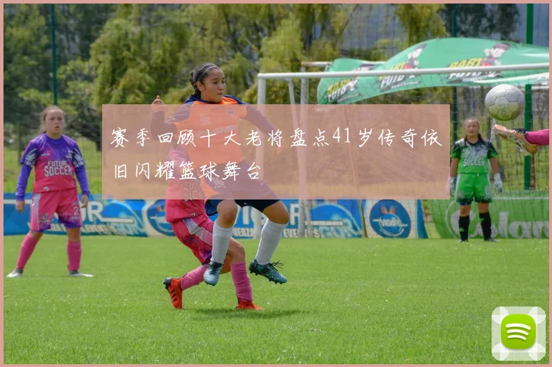 赛季回顾十大老将盘点41岁传奇依旧闪耀篮球舞台